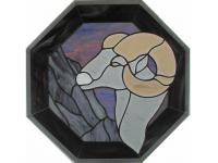 Big Horn Mountain Sheep